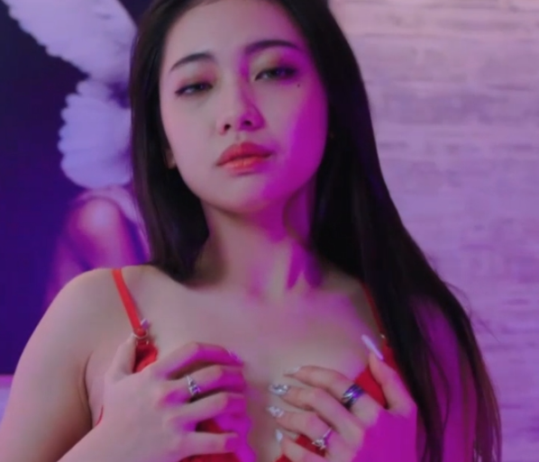 夏暮光火热作品全套11部 【6.45G】