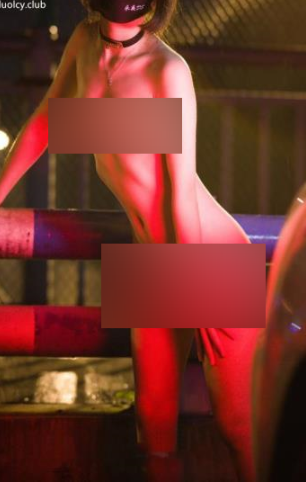 永夜系列DOM三人游合集 (40V/8.64G)