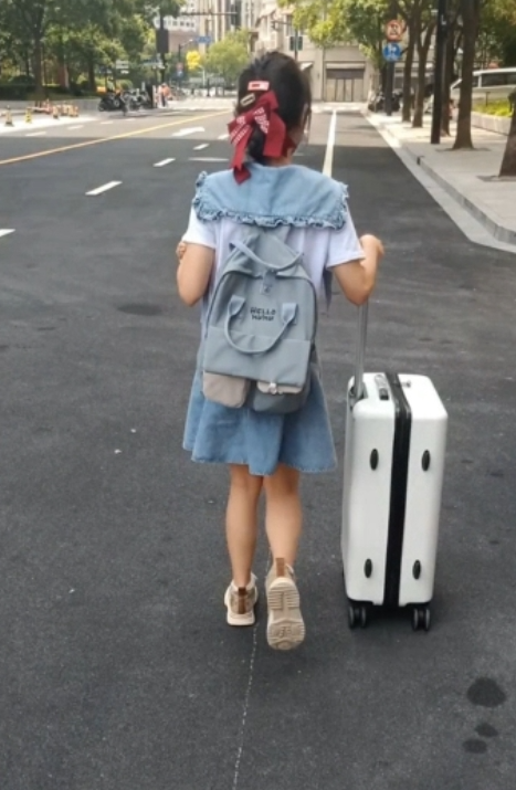 指教小狗与Lolita7更新合集,可爱暴击治愈良药